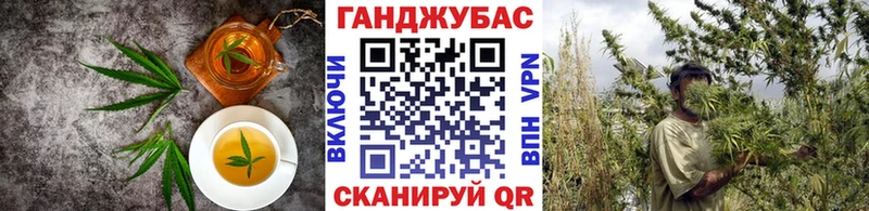 дарнет шоп  Белокуриха  Еда ТГК конопля 