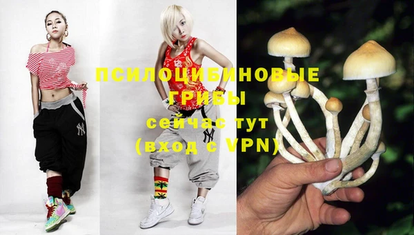 ECSTASY Арсеньев